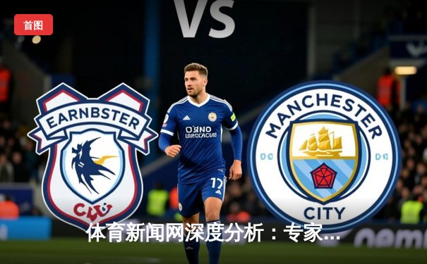 体育新闻网深度分析：专家解读